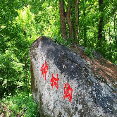 神树沟