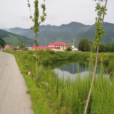 夏日避暑好去处—抚顺三块石森林公园选择绿森林度假村
