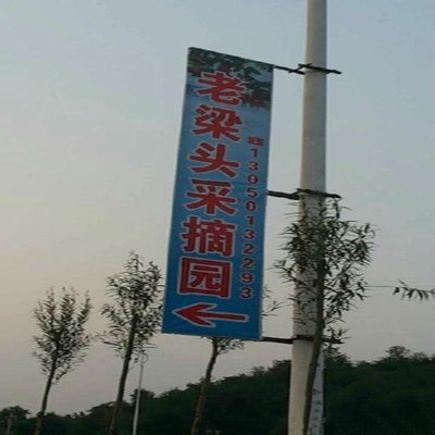 兰山老梁头水果采摘园,自驾游,农家乐