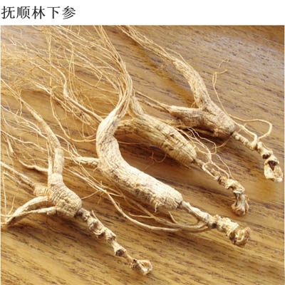 抚顺林下参