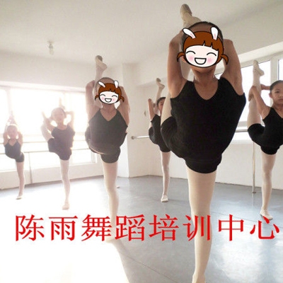 陈雨舞蹈培训中心