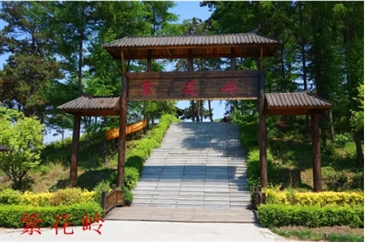 紫花岭风景区