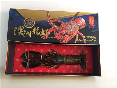 澳洲龙虾