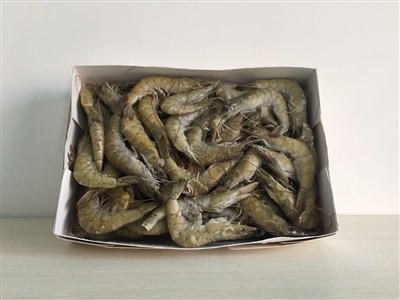 沙特虾