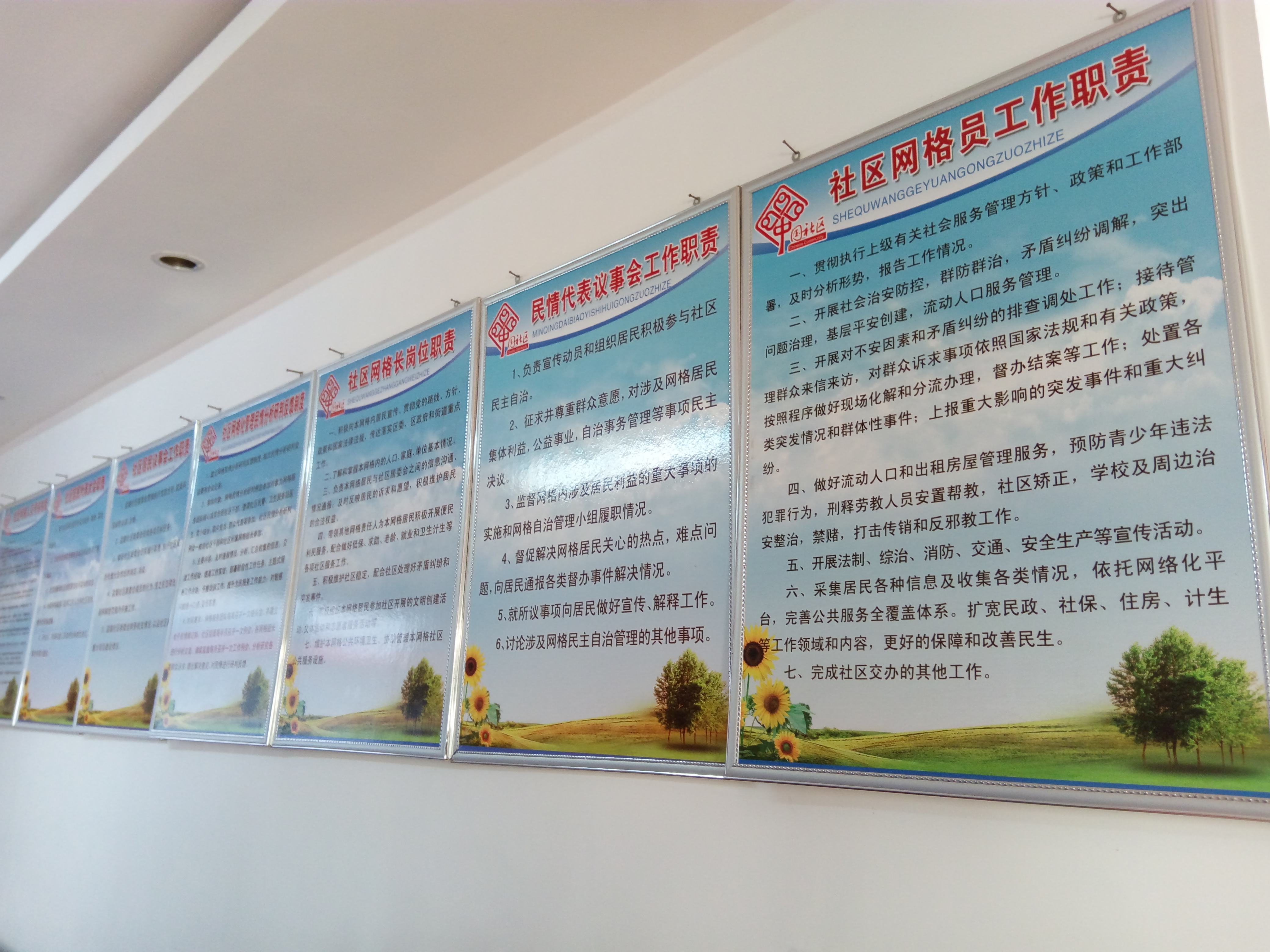 社区工作（共青团工作职能和范围）
