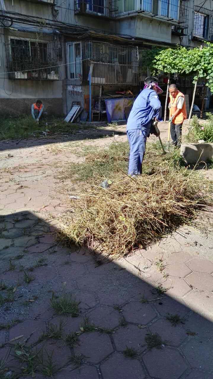 走进社区