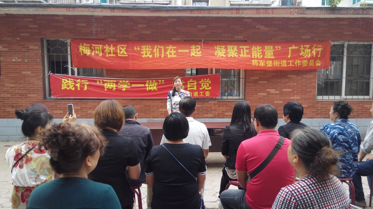 两学一做集锦（“我们在一起凝聚正能量”广场行）