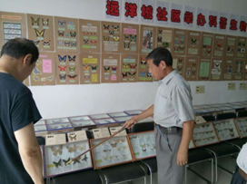 社区功能区（社区科普展）