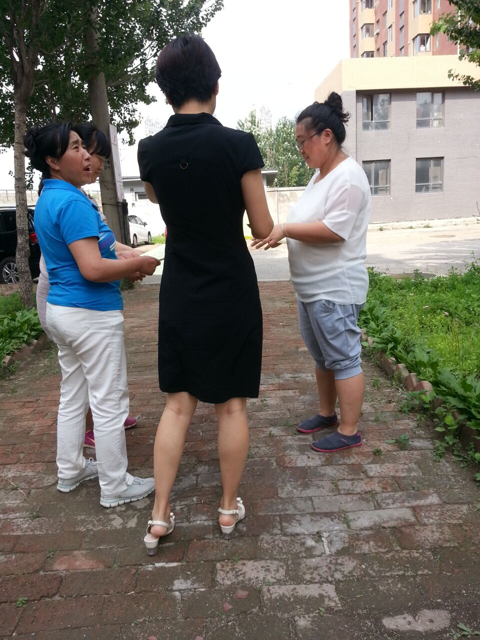 八厂社区节能领跑，绿色发展活动报导