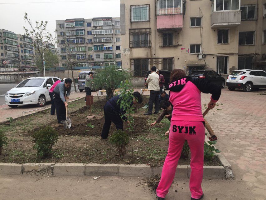 社区工会成员给花池种花