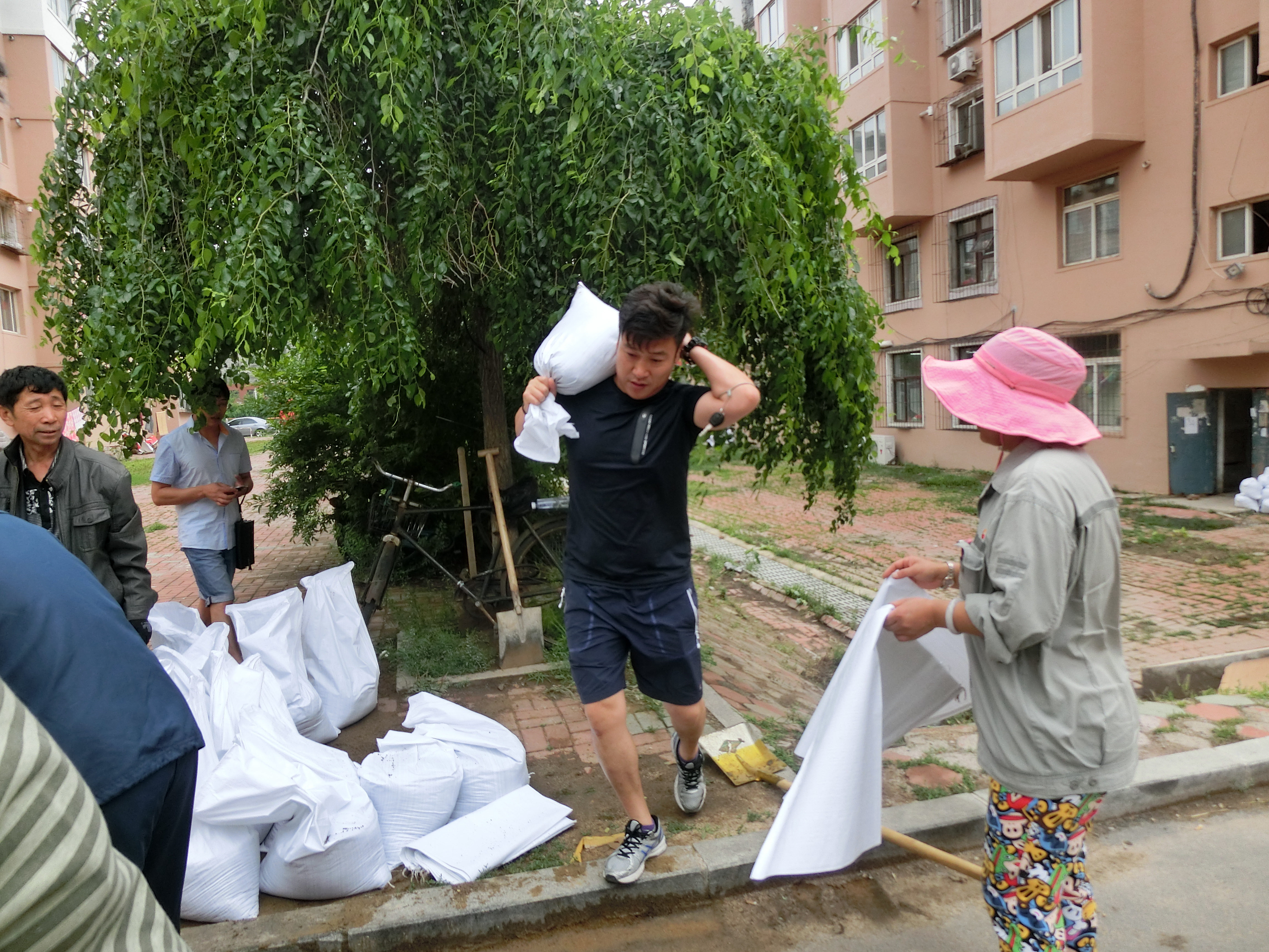 两学一做集锦（在职党员进社区义务劳动）