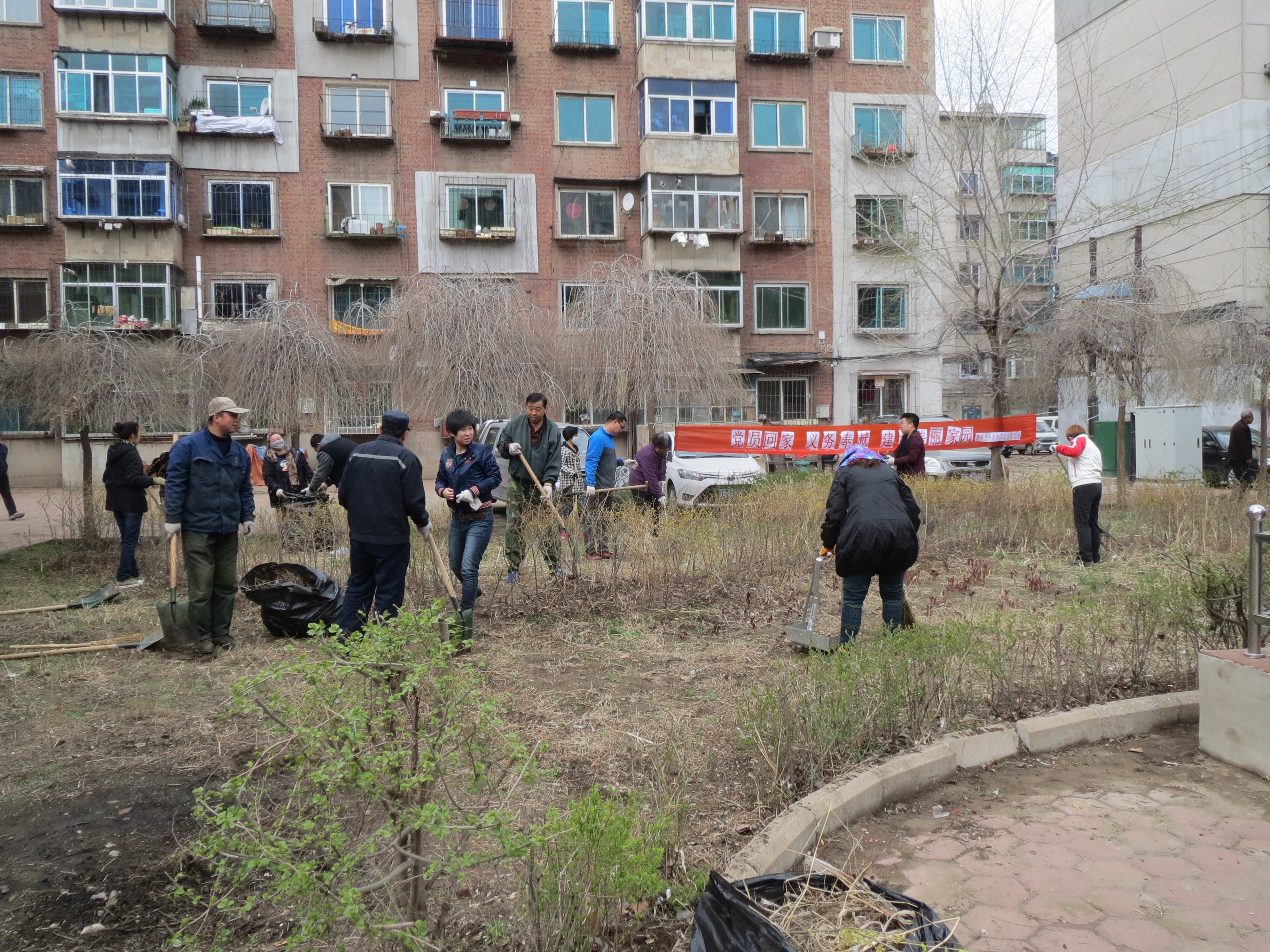 在职党员进社区活动