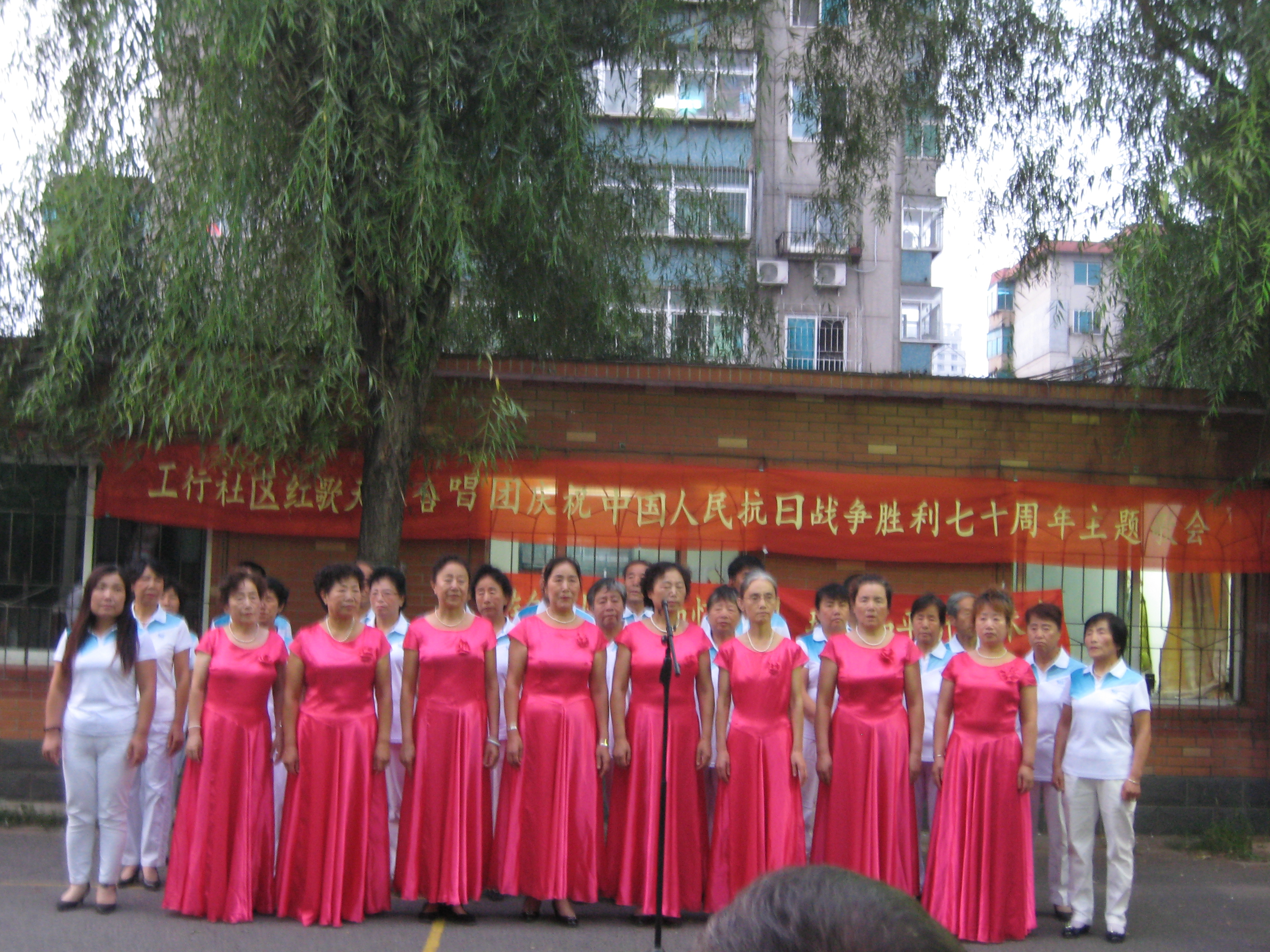 夏凉晚会